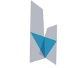 About – MV Group USA
